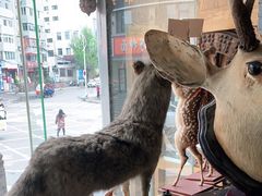 -乔家满族八大碗(流水沟店)