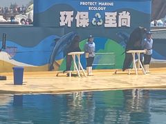 -秦皇岛乐岛海洋王国