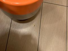 -麦当劳(厦门思明路店)