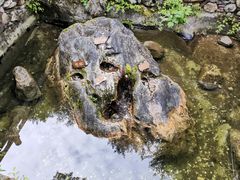 -康定跑马山风景区