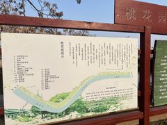 -桃花堤公园