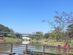 -王借岗森林公园