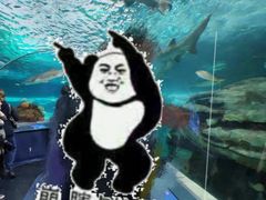 -瑞普利水族馆
