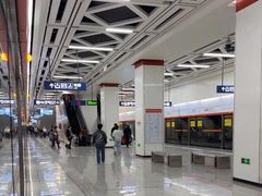 -野芷湖(地铁站)