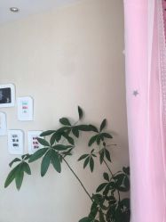 -爱美睫美甲会馆