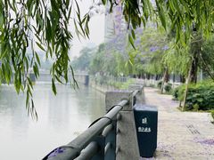 -成都市活水公园