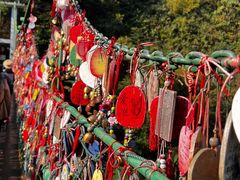 -西双版纳原始森林公园