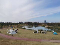 -春花秋色城市公园