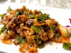 -丁老爷子苏香圆