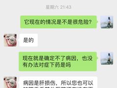 -艾贝尔宠物诊疗