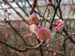 -北京鹫峰国家森林公园