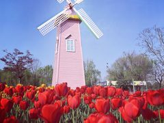 -祥源·阜阳生态乐园