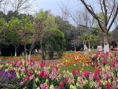 -成都市文化公园