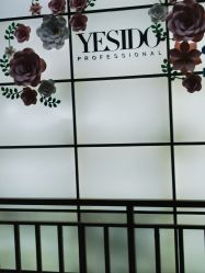 -YESIDO椰岛造型