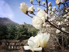 -居庸关长城