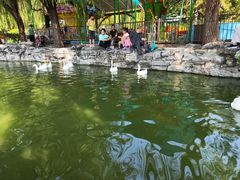 -团结湖公园