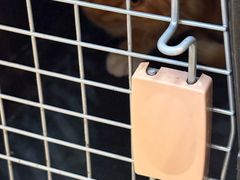 -宠颐生汉谟拉比宠物医院