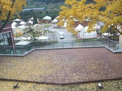 -重庆南山海昌汤都