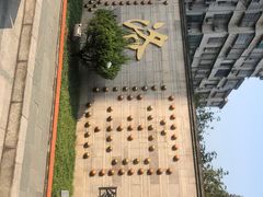 -广州神农草堂中医药博物馆