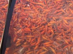 -千岛湖忆湖度假酒店(中心湖景区店)