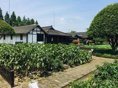 景点-张闻天故居