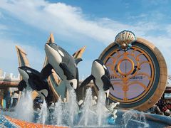 -上海海昌海洋公园