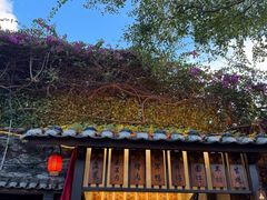 -鹏城人家海鲜酒家·23年老字号(较场尾店)