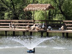 -溱湖国家湿地公园