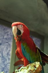 -Zoolung Zoolung动物主题公园(海信广场店)