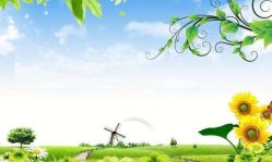 -豆豆飞儿童摄影(ccpark店)