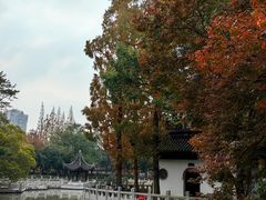 -汇龙潭