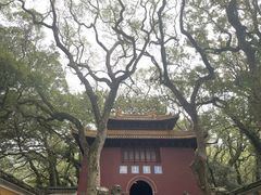 -普陀山风景名胜区-法雨禅寺