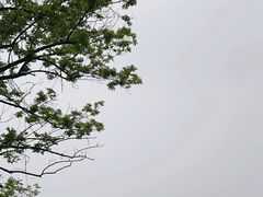 -三岔湖景区