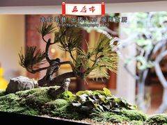 -晋江五店市传统文化旅游区