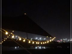 -春花秋色城市公园