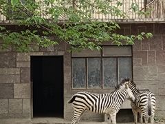 -成都动物园