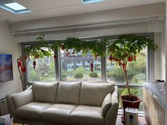 -精德口腔·种植修复·儿牙中心(财富中心店)