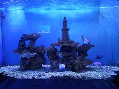 -太平洋海底世界