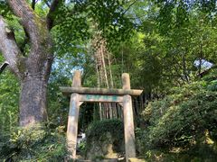 -西泠印社