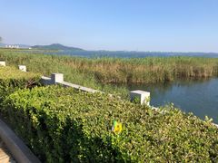 -苏州太湖湖滨国家湿地公园