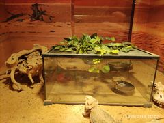 -多彩贵州城极地海洋世界