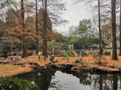 -中山公园
