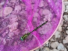 -云岫谷游猎自然风景区