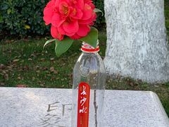 -橘子洲景区