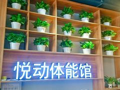 -悦动体能篮球羽毛球网球(三里河店)