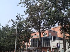 -首都儿科研究所附属儿童医院-停车场