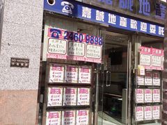 -嘉诚地产(青山公路-新墟段)
