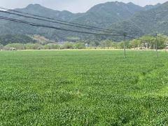 -北海金海湾红树林生态旅游区