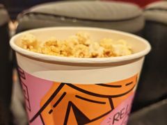 -万达影城(锦华万达广场IMAX店)