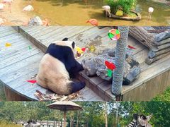 -大连森林动物园